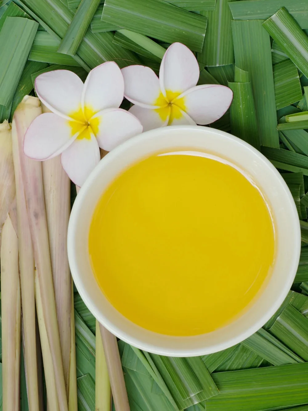 Citronella Mum Esansı