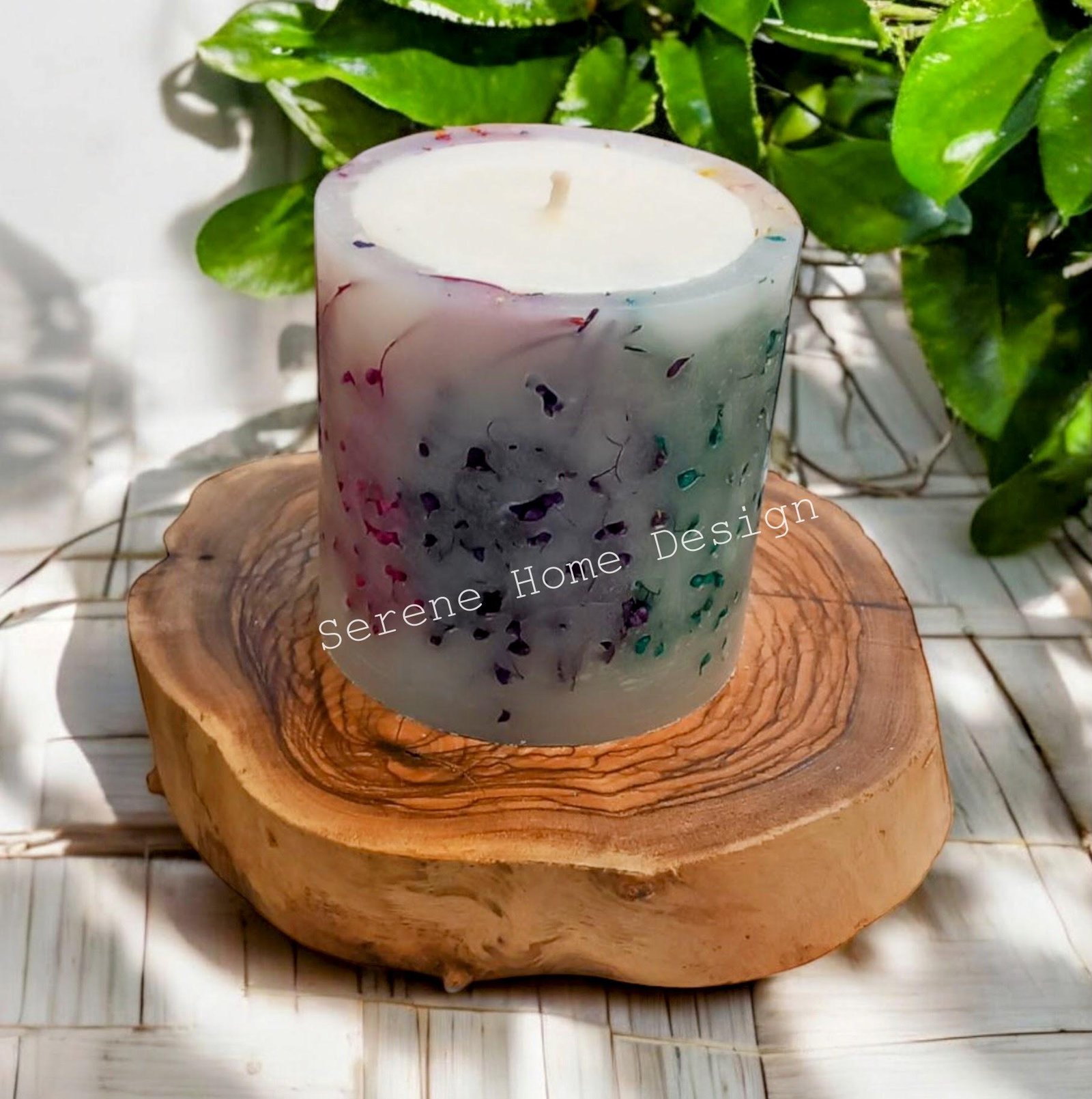 Botanik Koleksiyonu - Image 5